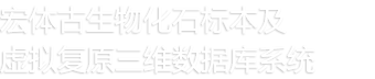 中国古代服饰(唐代)虚拟三维数据库系统